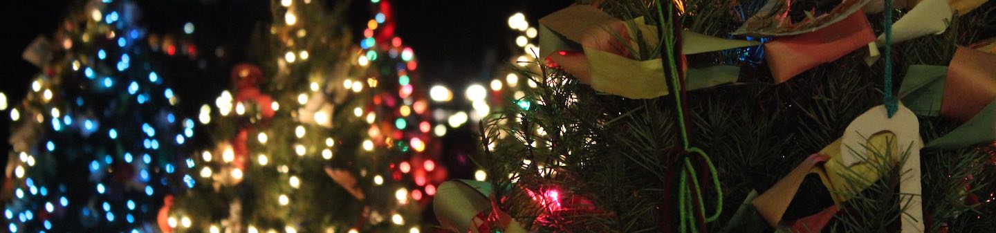 Lower 9 Senior Center Christmas Concert