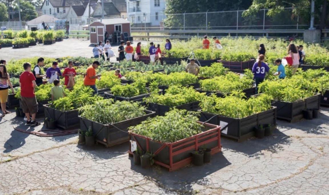 October 12, 2020 Newsletter